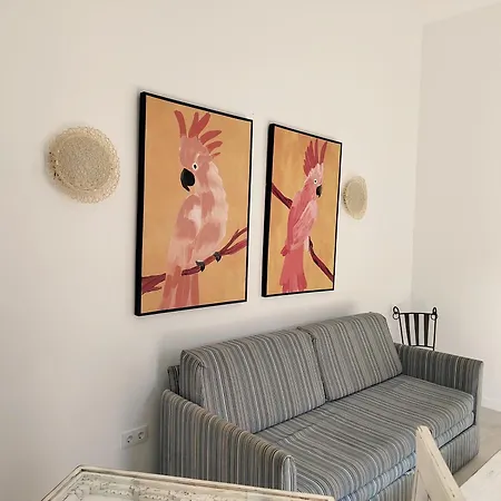 Vakantiehuis Tamarindo 27 Pool Front Next To The Dunes, Free Wifi Corralejo